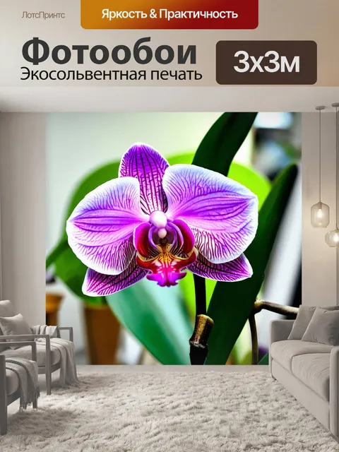 Фотообои орхидея, выполненная в акварельном стиль картин, с размытыми линиями и мягкими цветами
