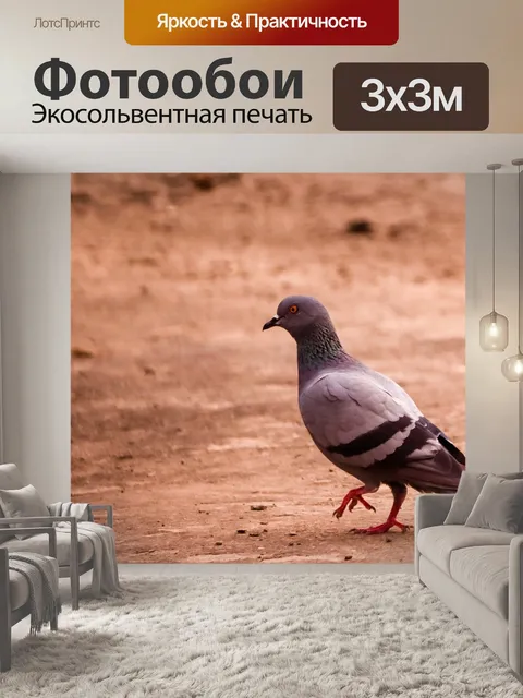 Фотообои Птицы