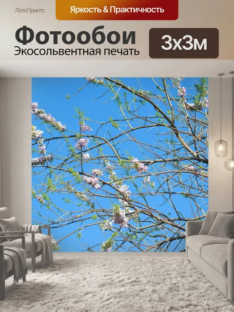 Фотообои Цветущие ветви дерева