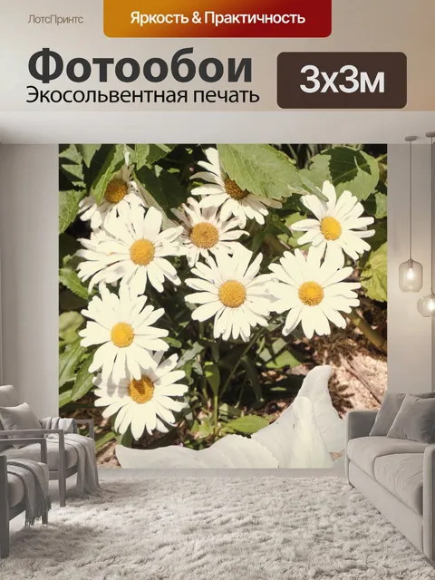 Фотообои Дикие ромашки