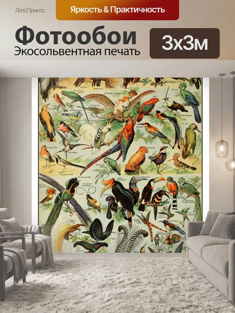 Фотообои Vintage Birds Art Print