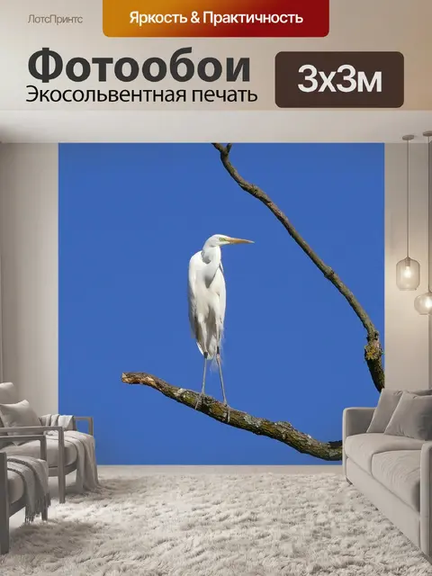 Фотообои Цапля