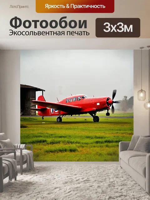 Фотообои ан-2 стоит на заросшем травой аэродроме