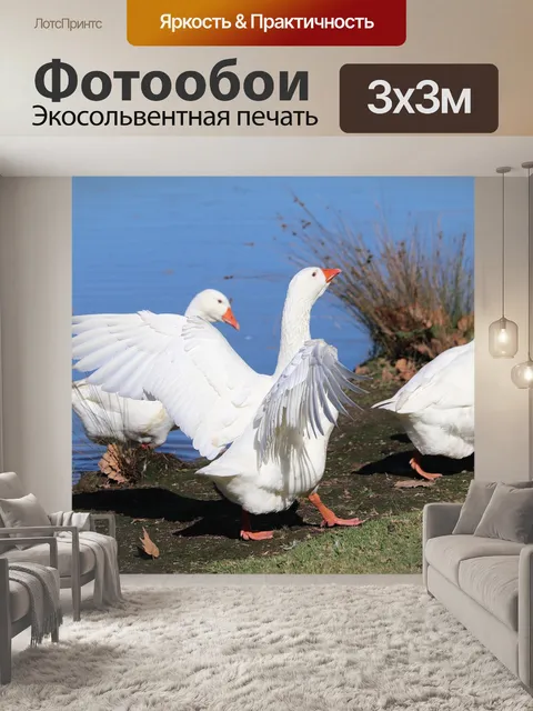 Фотообои Гуси