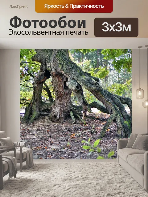 Фотообои Дерево