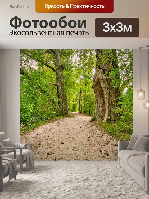 Фотообои Лес