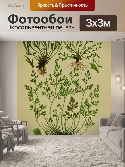 Фотообои Листья папоротника Селезенка Винтаж