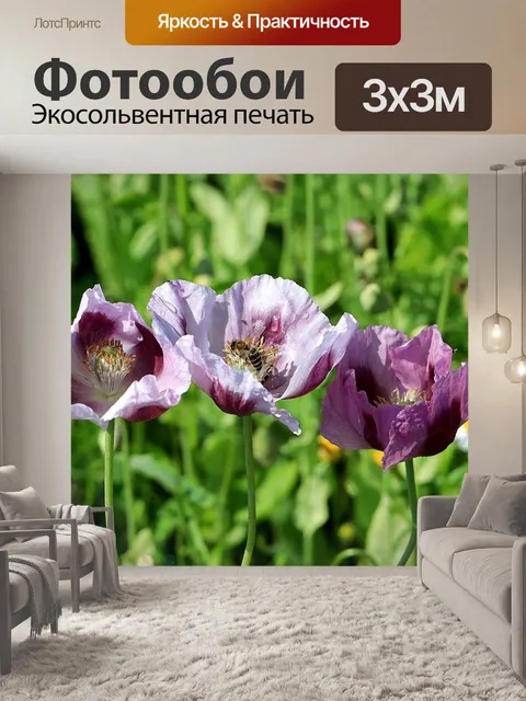 Фотообои Мак