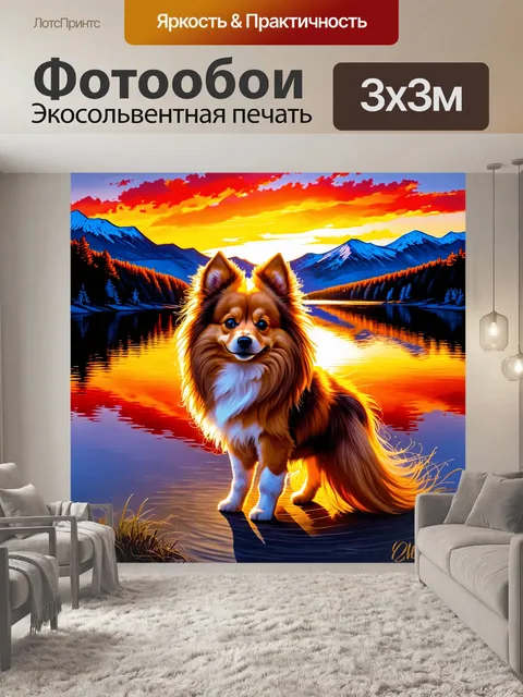 Фотообои миниатюрный шпиц, сверкающий на фоне яркого заката у озера