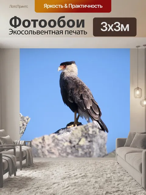 Фотообои Природа