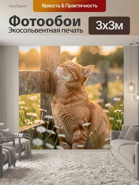 Фотообои Рыжий кот у деревянного забора
