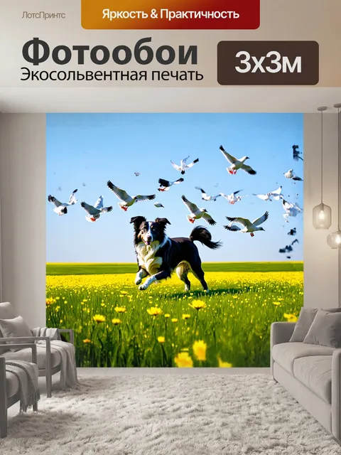 Фотообои на бескрайних зеленых полях, бордер-колли энергично гонится за стаей птиц, поднимающихся в небо