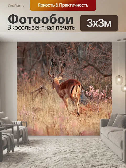 Фотообои Импала Бак уходит в куст
