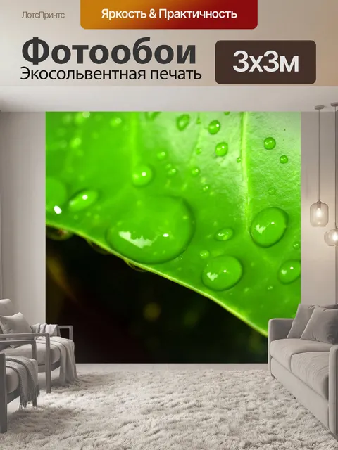 Фотообои Капля воды на листе