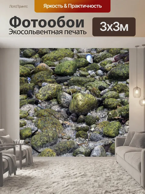 Фотообои Зеленый Мшистые Скалы