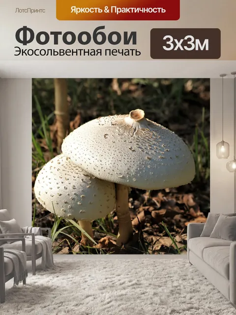 Фотообои Два белых гриба-аманиты