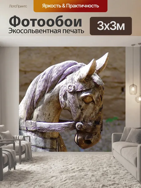 Фотообои Лошадь