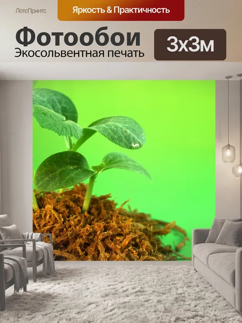 Фотообои Молодое дерево