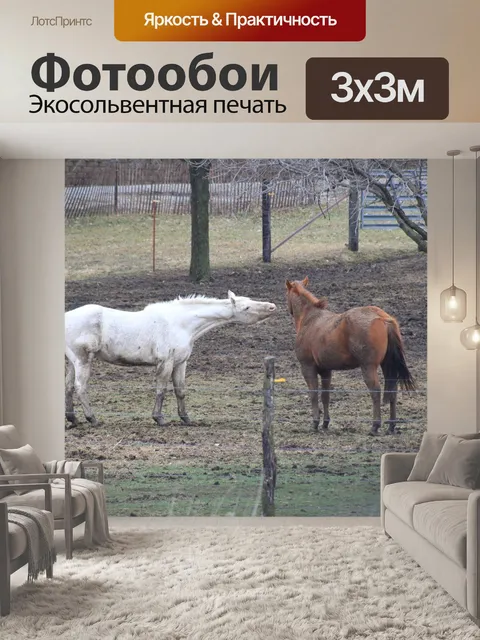 Фотообои Лошади