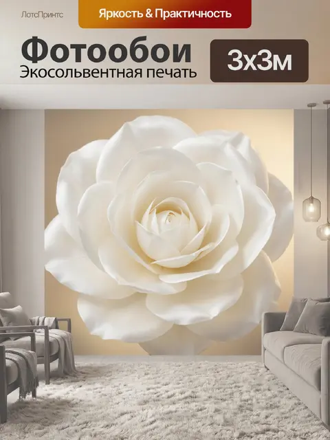 Фотообои Белая роза крупным планом