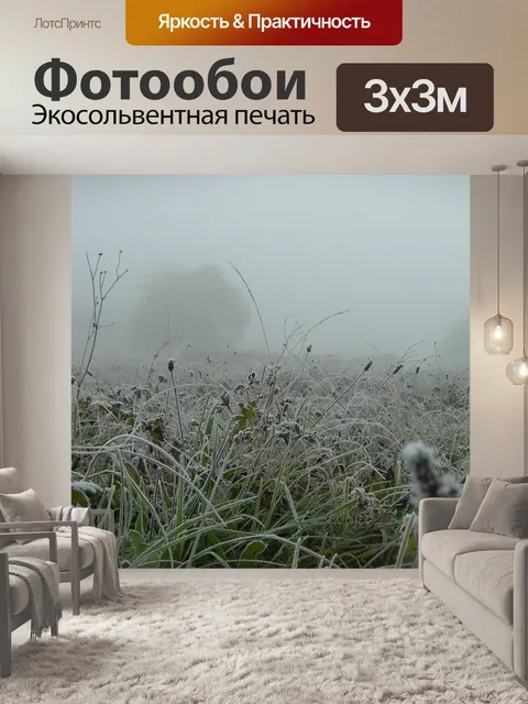 Фотообои Туман