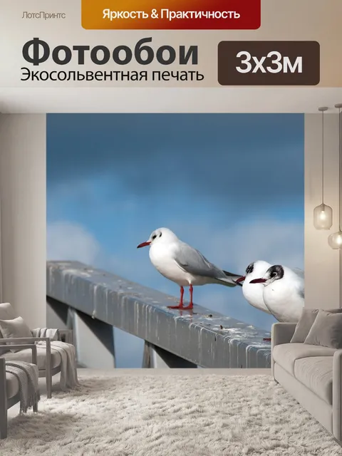 Фотообои Чайка