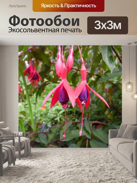Фотообои Фуксия