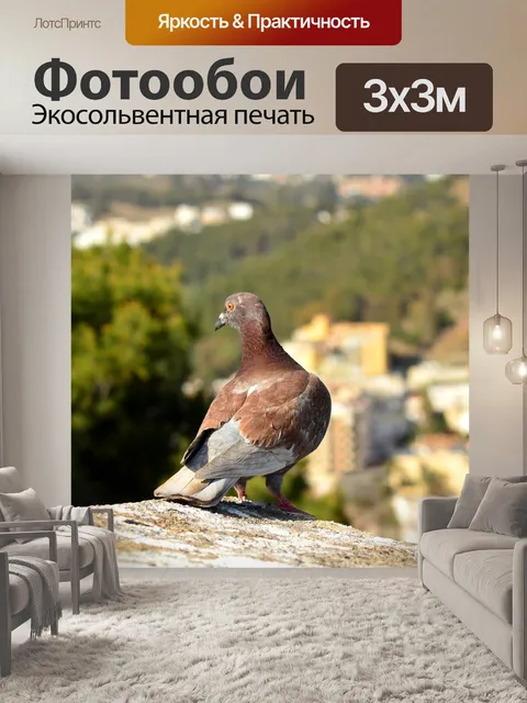 Фотообои Птица