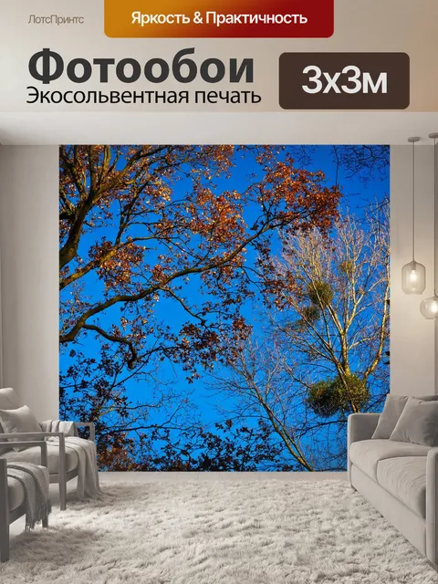 Фотообои Деревья