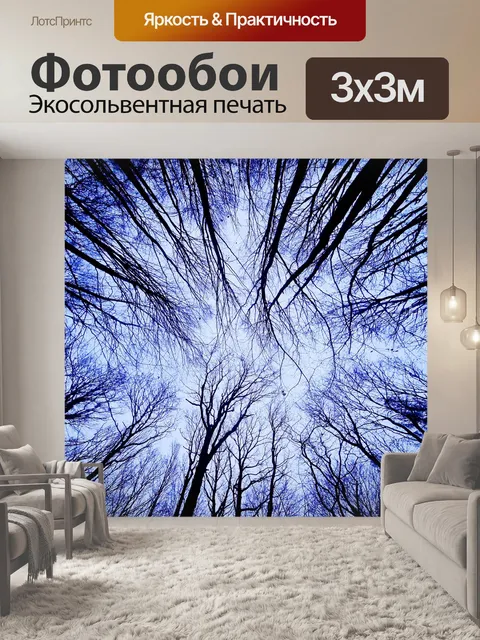Фотообои Лес