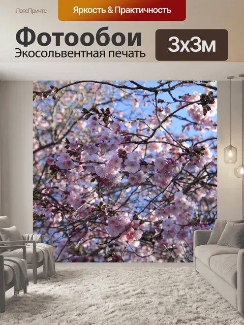 Фотообои Фон