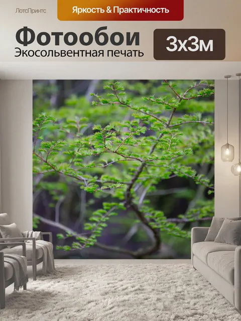Фотообои Ветвь дерева
