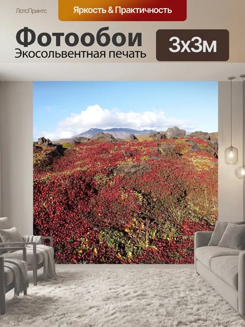 Фотообои Горы
