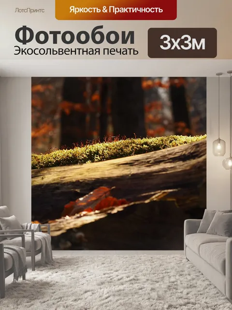 Фотообои Мох
