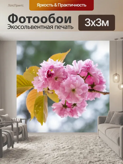 Фотообои Цветение вишни