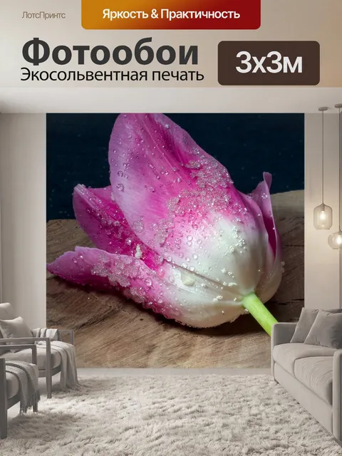Фотообои Цветок