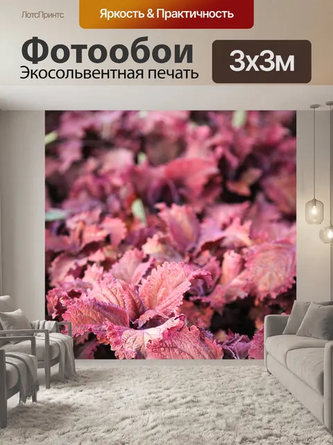 Фотообои Листья