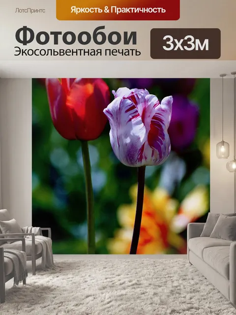 Фотообои Тюльпаны