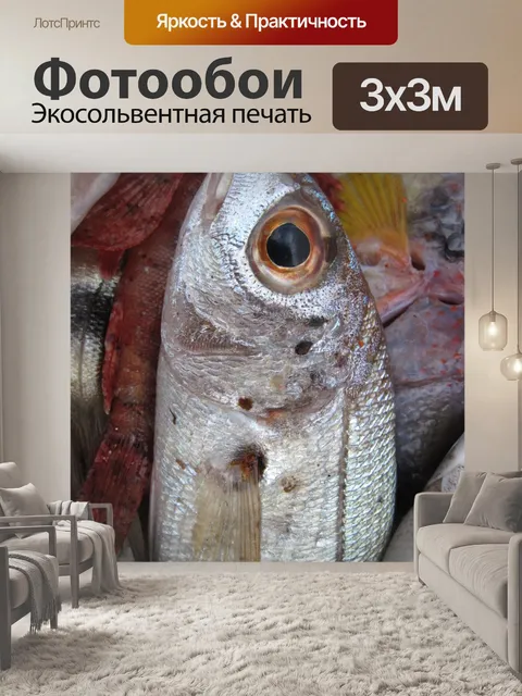 Фотообои Рыбы