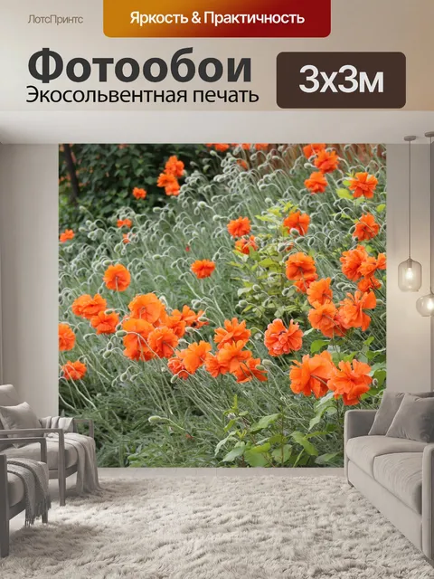 Фотообои Маки