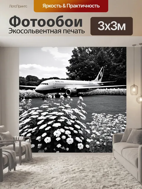 Фотообои самолет в черно-белом стиле, обрамленный цветами в саду