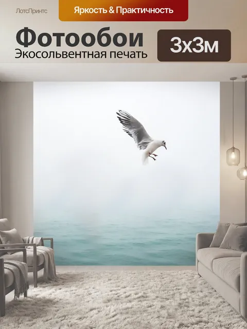 Фотообои Чайка