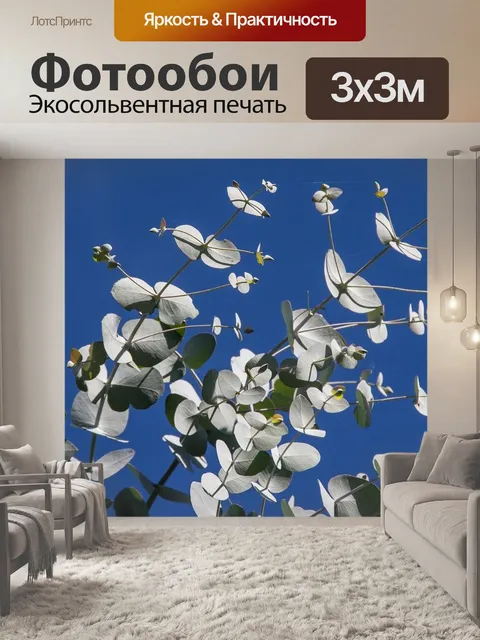 Фотообои Листья эвкалипта