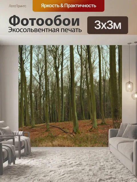 Фотообои Лес