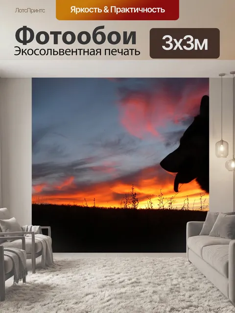 Фотообои Собака