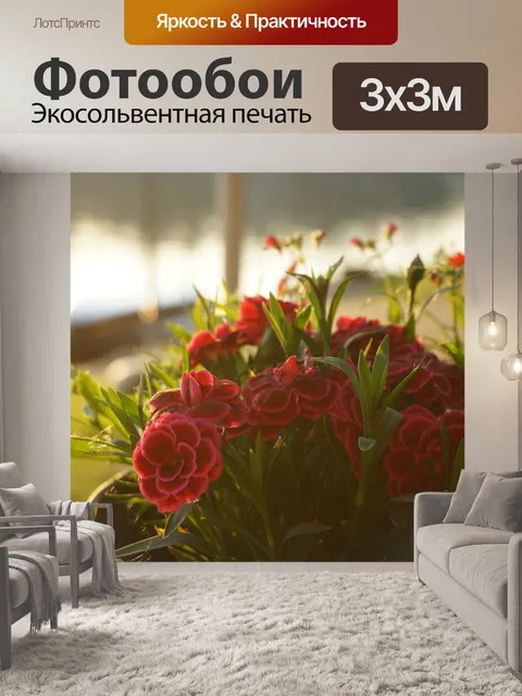 Фотообои Цветы