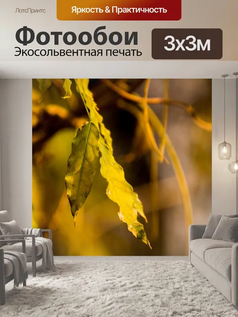 Фотообои Листья