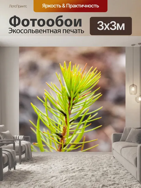 Фотообои Дерево