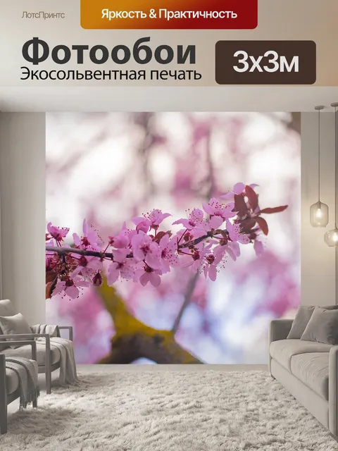 Фотообои Сакура