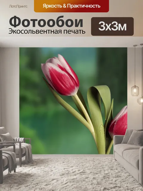 Фотообои Цветы